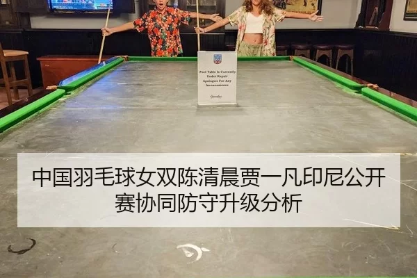 zhong-guo-yu-mao-qiu-nv-shuang-chen-qing-chen-jia-yi-fan-yin-ni-gong-kai-sai-xie-tong-fang-shou-sheng-ji-fen-xi-2-967.jpg
